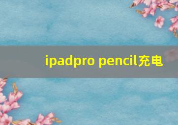 ipadpro pencil充电